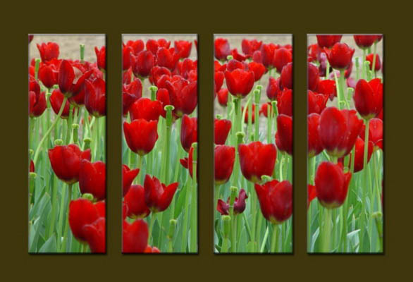 Modern Oil Paintings on canvas flower painting -set10062