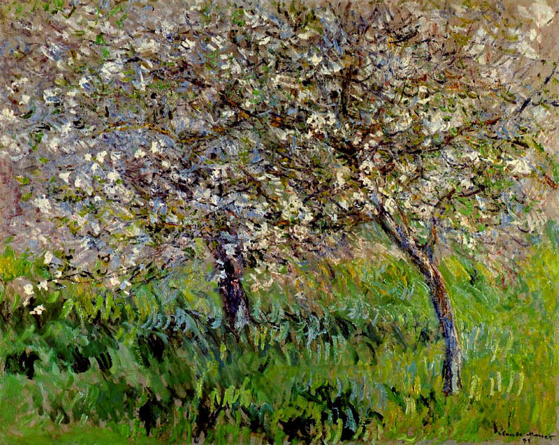 Cloude Monet Paintings Apple Trees in Bloom at Giverny 1901