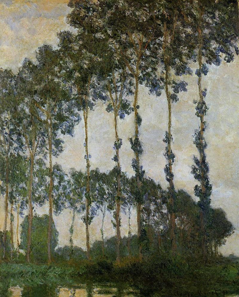 Cloude Monet Oil Painting Poplars at Giverny 1888