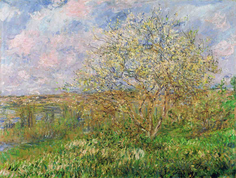 Cloude Monet Paintings