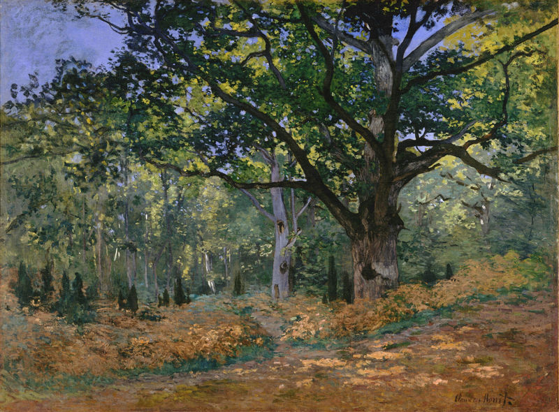 Cloude Monet Oil Paintings The Bodmer Oak, Fontainebleau