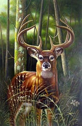 Dafen Oil Painting on canvas -animal025 - Click Image to Close