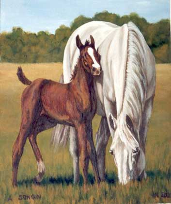 Dafen Oil Painting on canvas -horse024