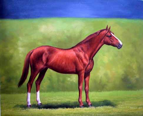 Dafen Oil Painting on canvas -horse032