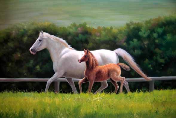 Dafen Oil Painting on canvas -horse033