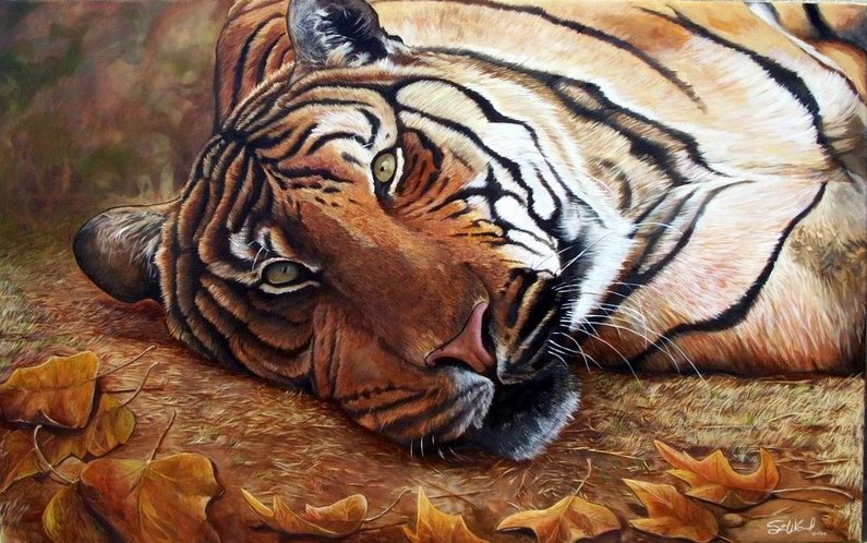 Dafen Oil Painting on canvas -tiger03